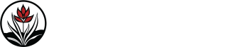 Gymea Publishing Services